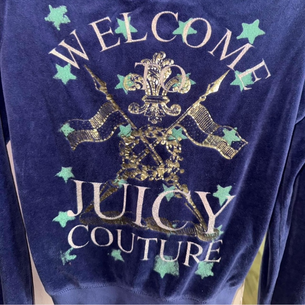 |SOLD!|Juicy Couture Purple Velour Hoodie